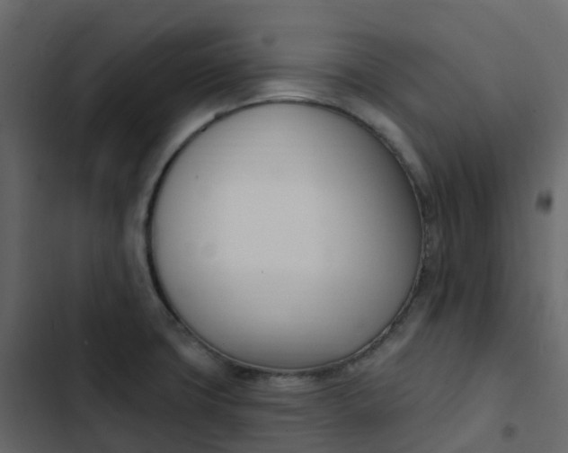 X0000102871427200809021437