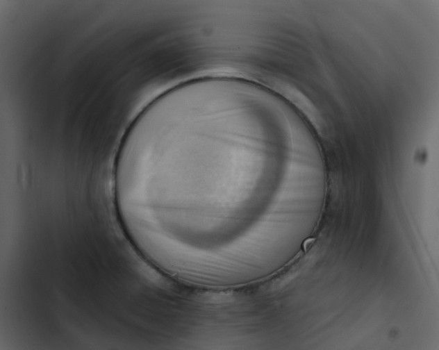 X0000102871428200809021437