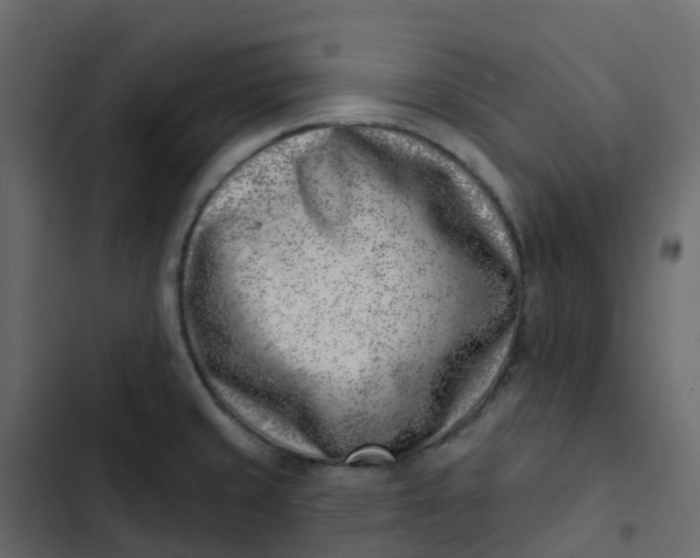 X0000102871429200809021437