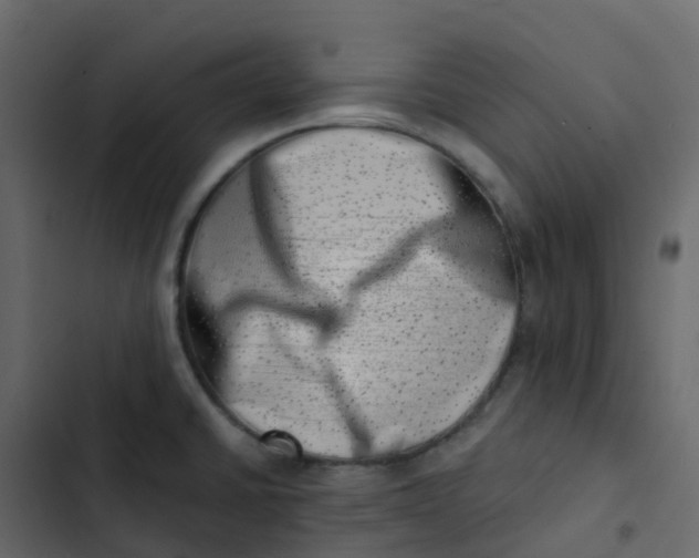 X0000102871430200809021437