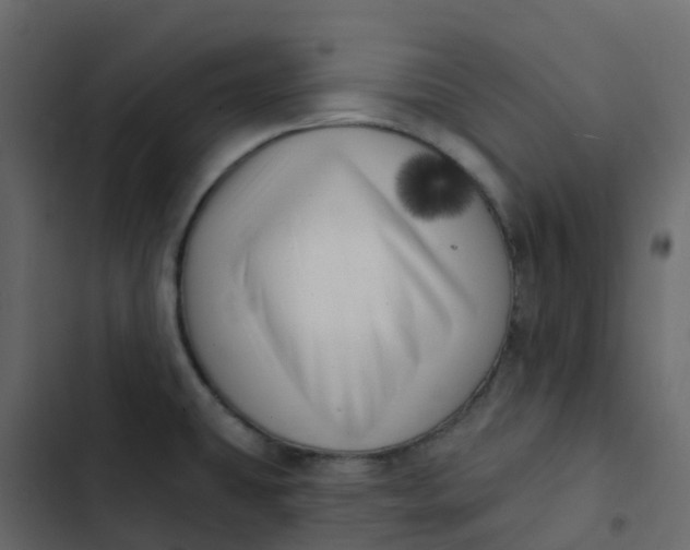 X0000102871431200809021437