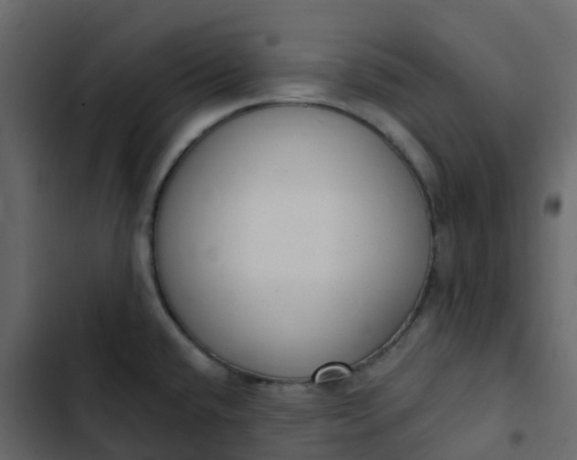 X0000102871432200809021437