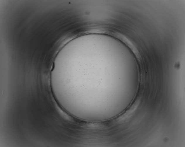 X0000102871433200809021437