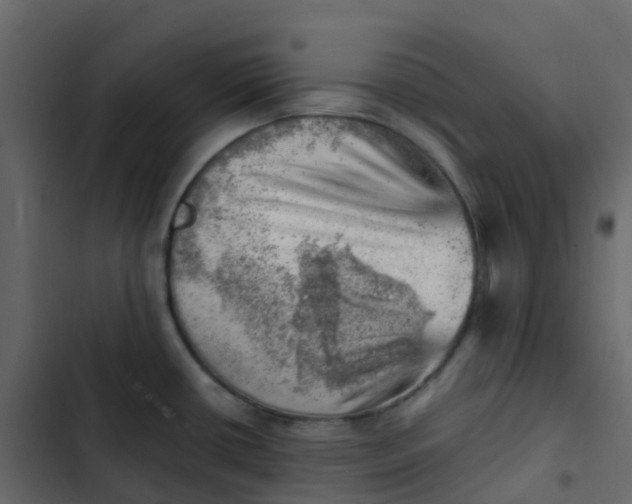 X0000102871434200809021437