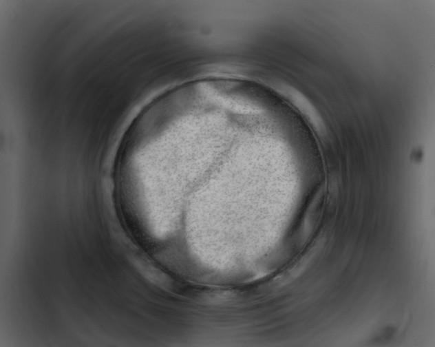 X0000102871435200809021437