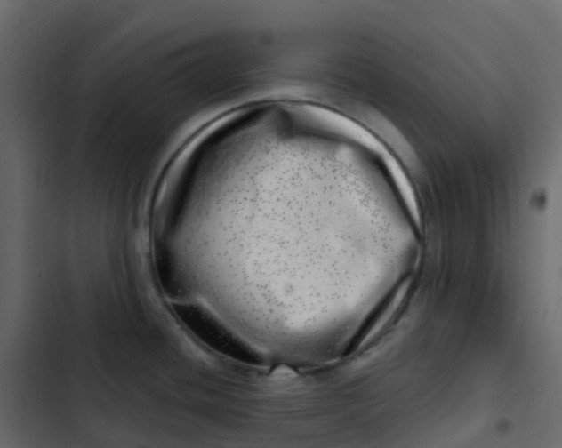 X0000102871436200809021437