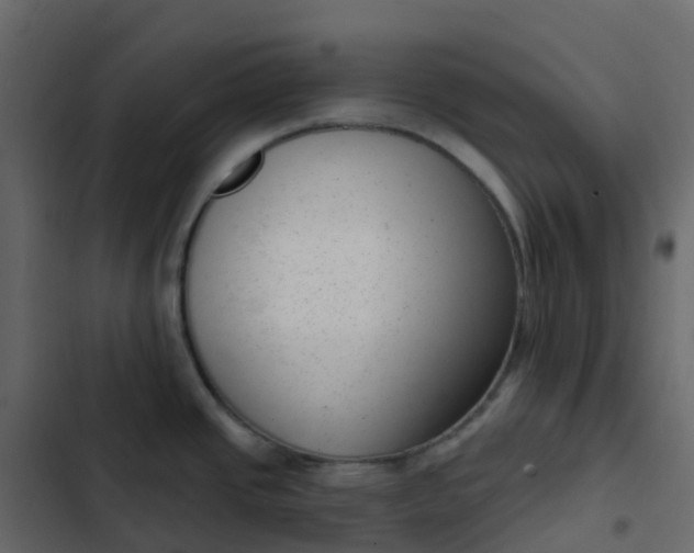 X0000102871437200809021437