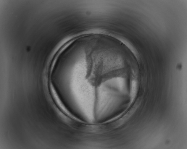 X0000102871438200809021437