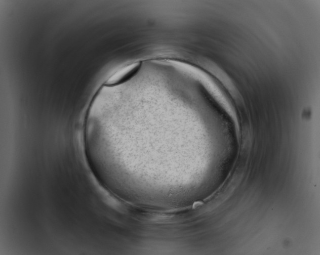 X0000102871439200809021437