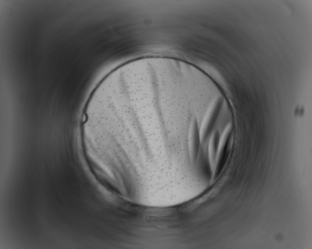 X0000102871440200809021437