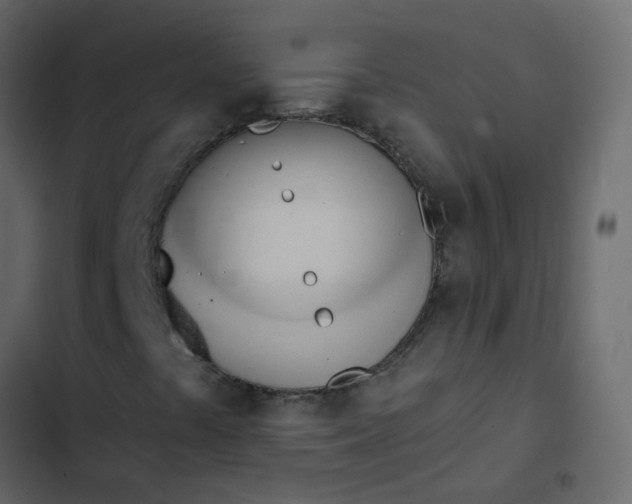 X0000102871441200809021436