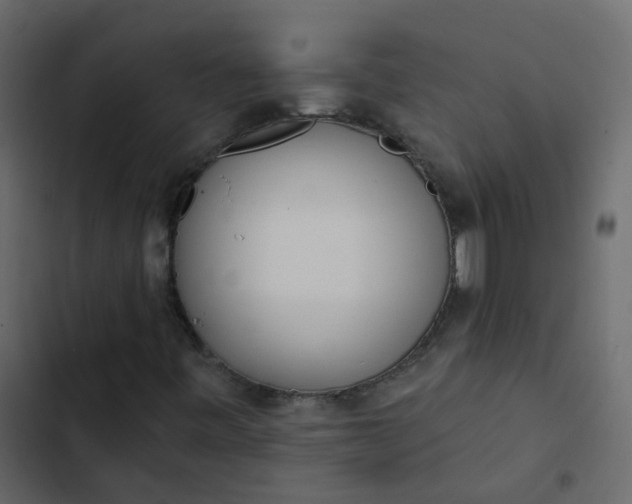 X0000102871443200809021436