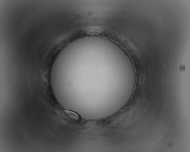 X0000102871445200809021436