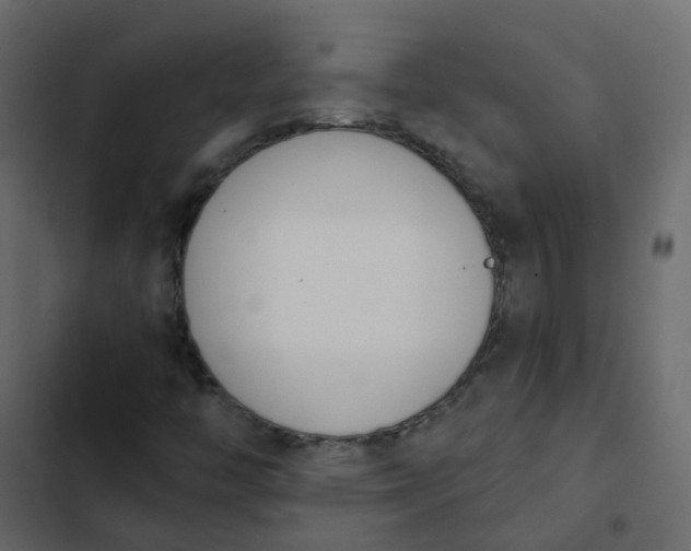 X0000102871446200809021436