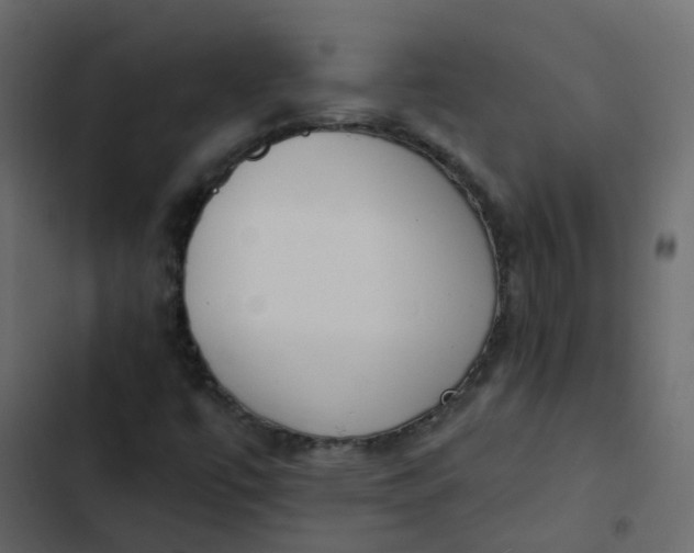 X0000102871447200809021436