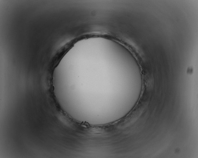 X0000102871448200809021436