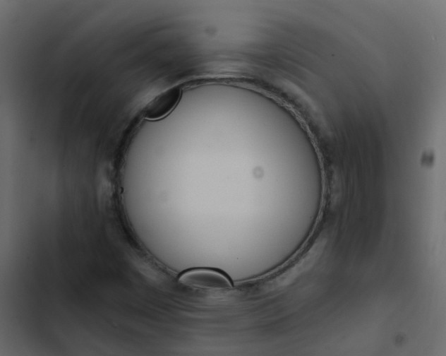 X0000102871449200809021436