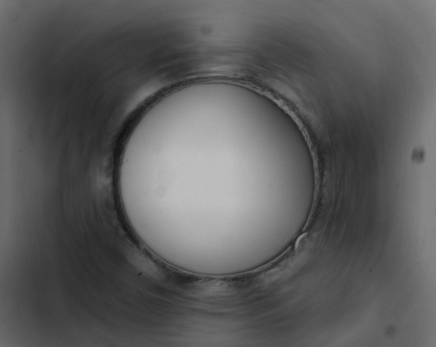 X0000102871450200809021436