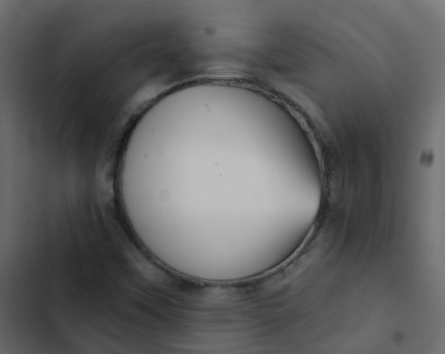 X0000102871451200809021436