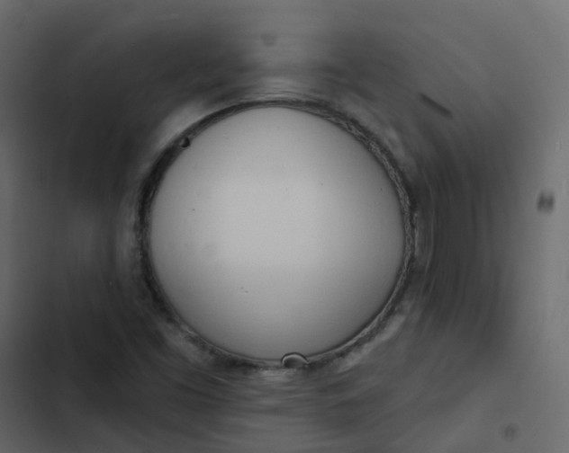 X0000102871453200809021436