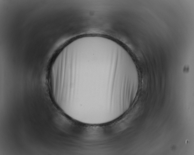 X0000102871454200809021436