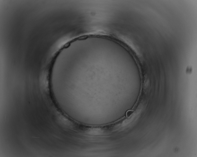 X0000102871455200809021436