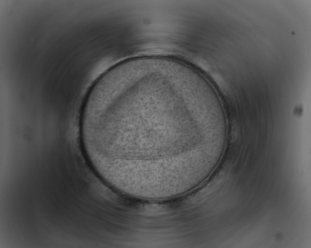 X0000102871459200809021436