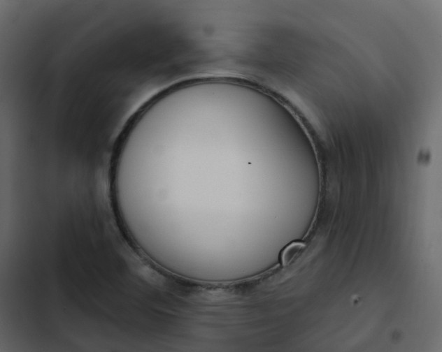 X0000102871460200809021436