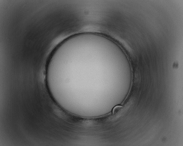 X0000102871461200809021436