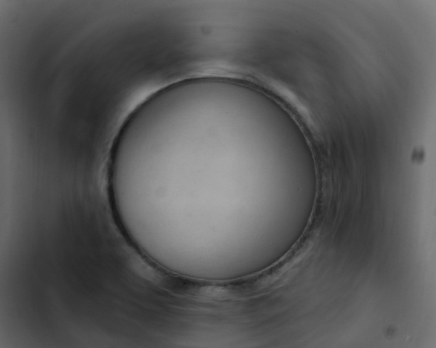 X0000102871463200809021436