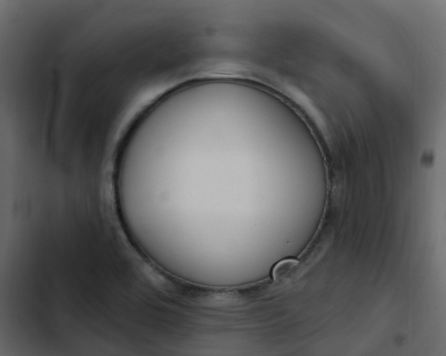 X0000102871464200809021436