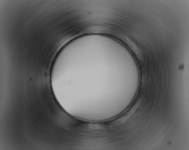 X0000102871465200809021436