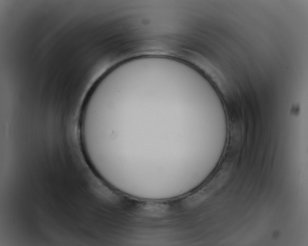 X0000102871466200809021436