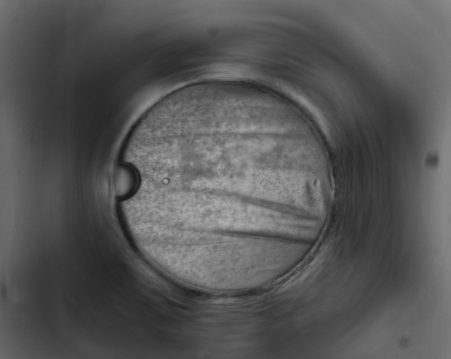 X0000102871467200809021436