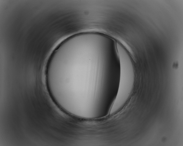 X0000102871468200809021436