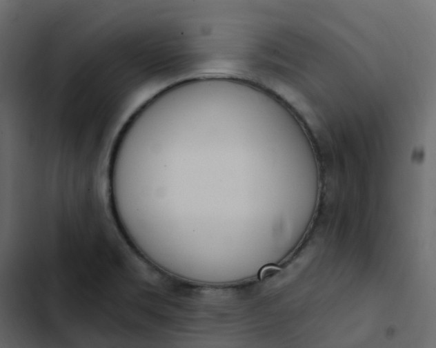 X0000102871469200809021436