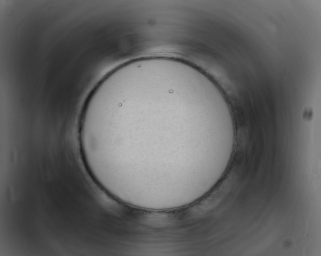 X0000102871470200809021436