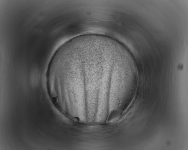 X0000102871471200809021436