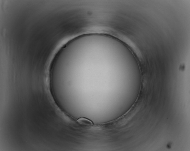 X0000102871472200809021436