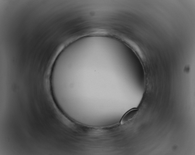 X0000102871475200809021436