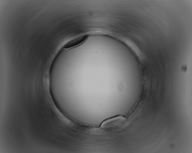 X0000102871476200809021436