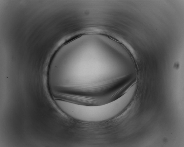 X0000102871477200809021436