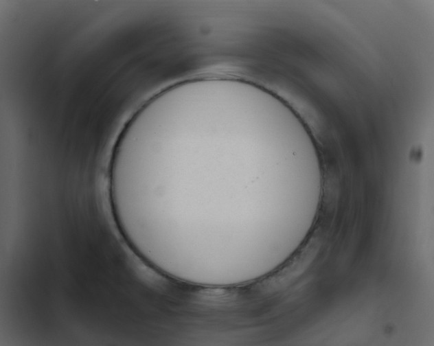 X0000102871478200809021436