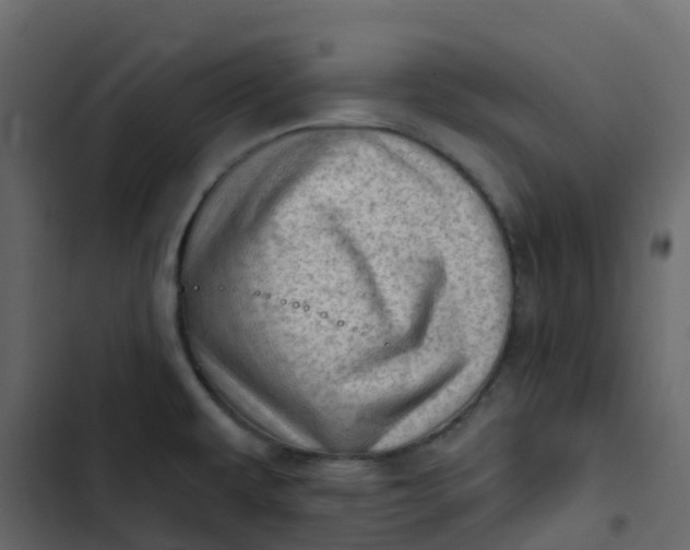 X0000102871479200809021436