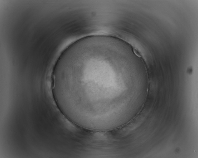 X0000102871480200809021436