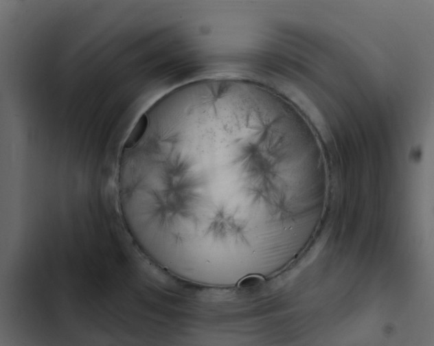 X0000102871481200809021436