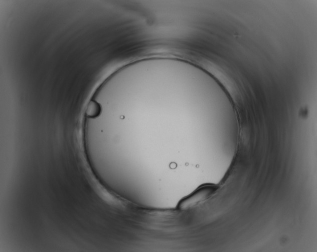 X0000102871482200809021436