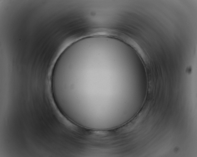 X0000102871483200809021436