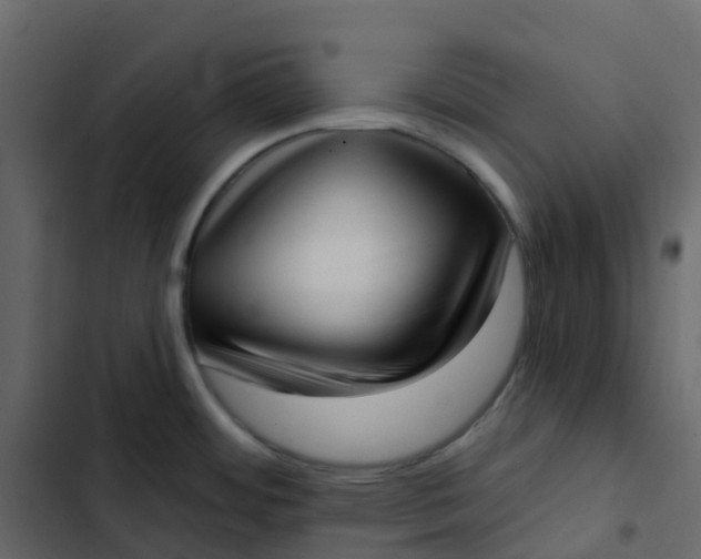 X0000102871484200809021436