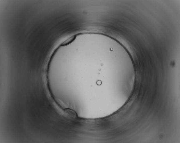 X0000102871485200809021436